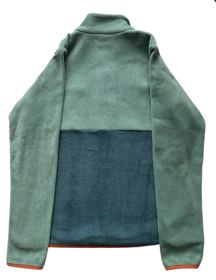 Polar ocieplany protest